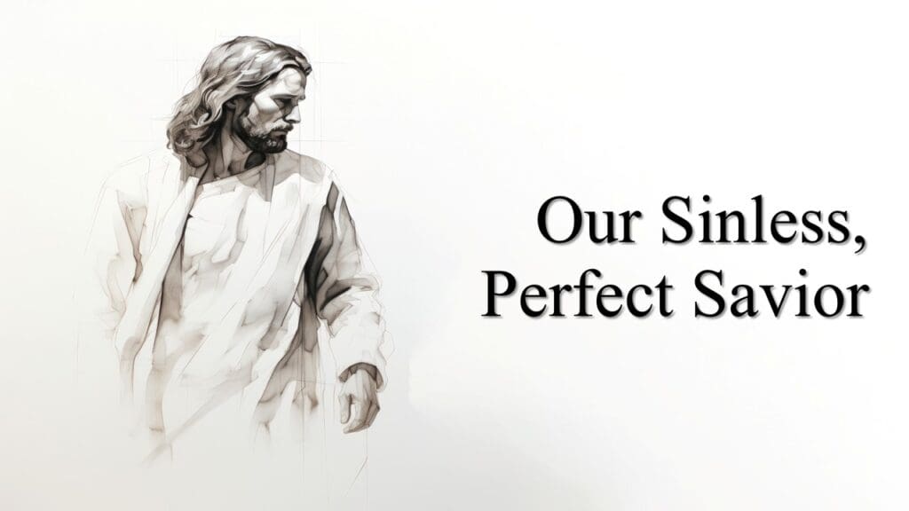 Our Sinless, Perfect Savior