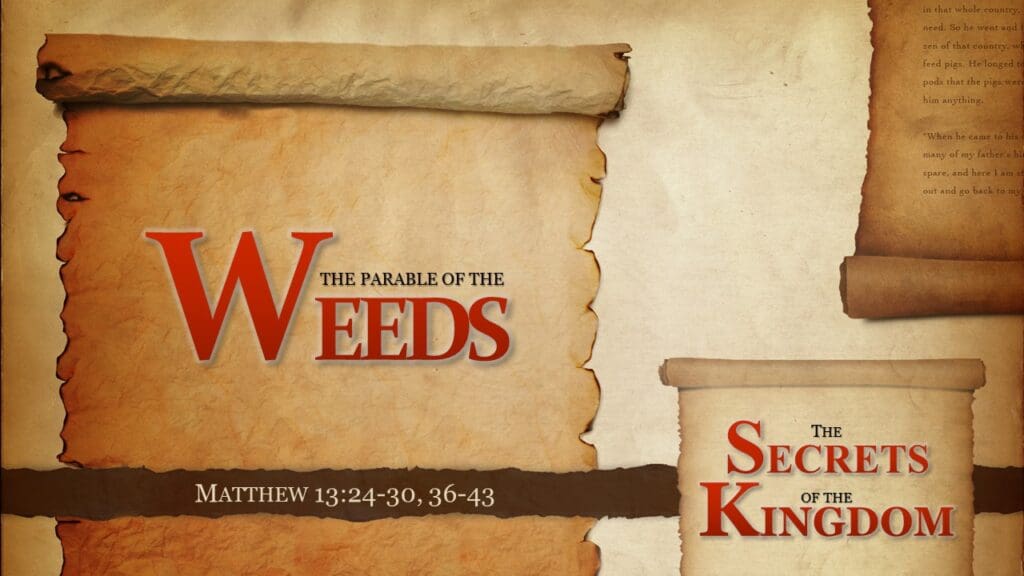 The Parable of the Weeds