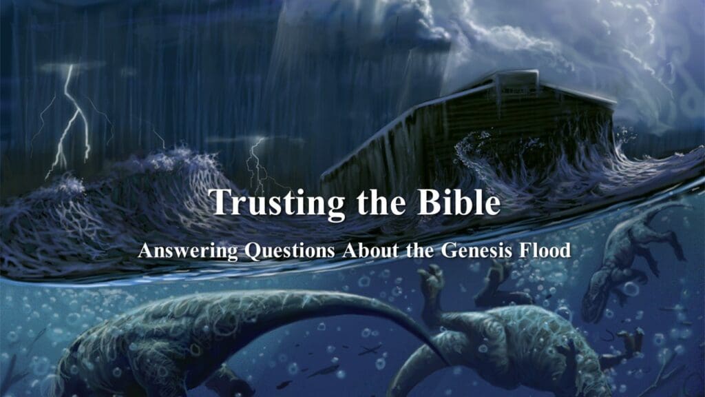 Answering Questions About the Genesis Flood